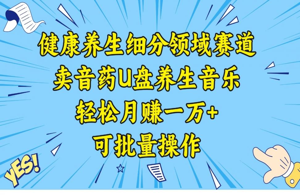 健康养生细分领域赛道◇卖音药U盘养生音乐，轻松月赚一万＋，可批量操作