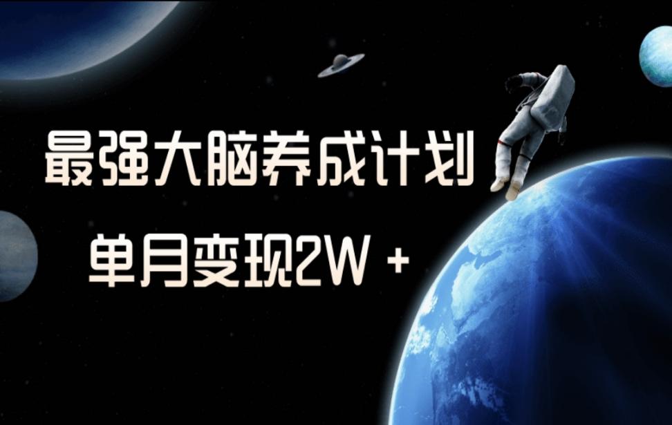 冷门虚拟项目，最强大脑养成计划，一个月变现2W+