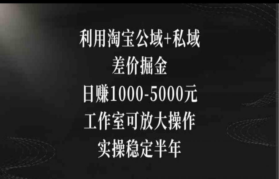 利用淘宝公域＋私域差价掘金，日赚1000-5000元，工作室可放大操作