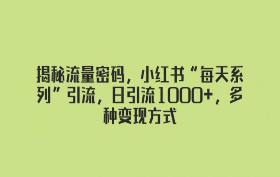 揭秘流量密码，小红书"每天系列"引流，日引流1000+，多种变现方式