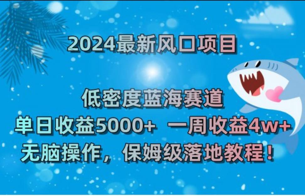 2024最新风口项目 低密度蓝海赛道，日收益5000＋周收益4w＋无脑操作，保姆级落地教程！