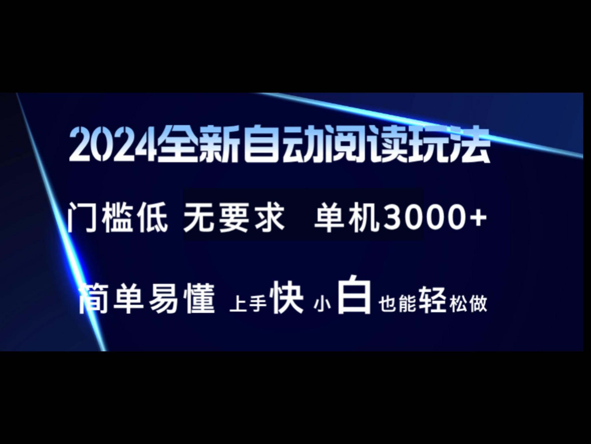 2024全新自动阅读玩法 全新技术 全新玩法 单机3000+ 小白也能玩的转