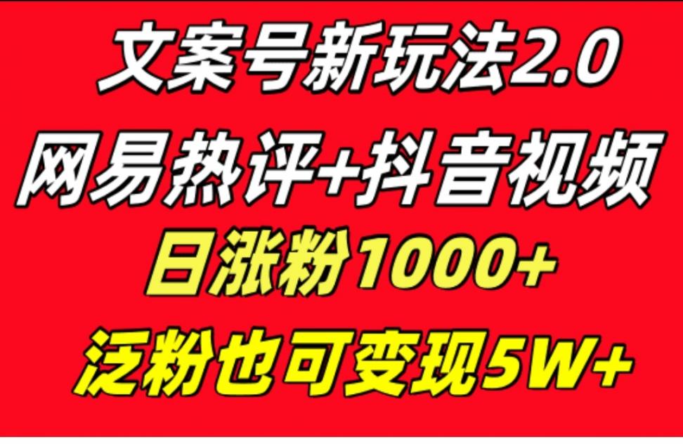 文案号新玩法网易热评＋抖.音文案一天涨粉1000＋多种变现模式 粉也可变现