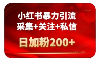 全自动日加粉200+，小红书暴力引流（采集+关注+私信）